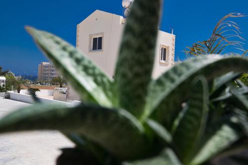 Tonia Seaview Villas
