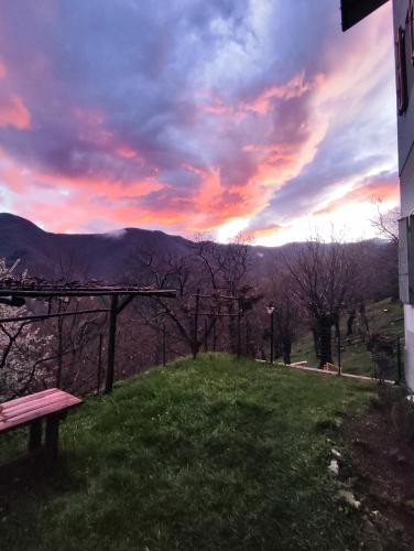  Albergo Ristorante La Selva in Orsigna