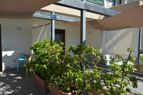 Casa Paola 4