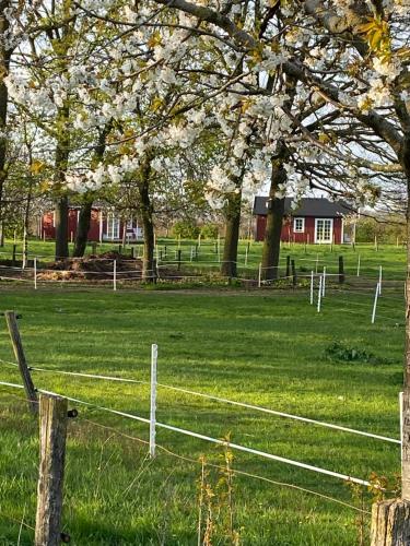 De Heeren Hoeve Carpe Diem Room Type - One-Bedroom Chalet