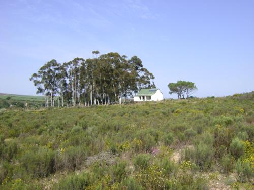 Lingkungan sekitar, Infinity farm in Riversdale