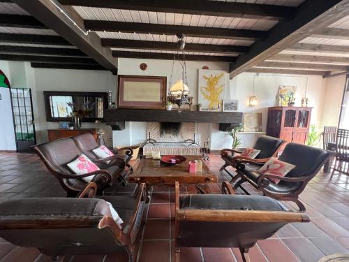 Tesis özellikleri, ON Acebuchal 23 in Almonte