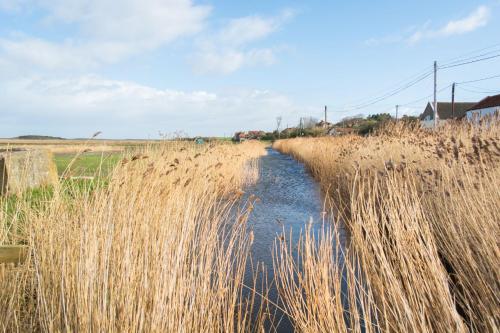 Tystie Cottage - Fantastic home by the Norfolk coast - image 10