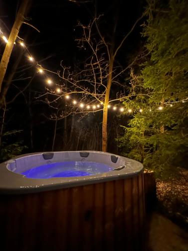 A környék, Odpoczynek Domki Pod Dębem z Opcją Jacuzzi (Odpoczynek Domki Pod Debem z Opcja Jacuzzi) in Przyjmo