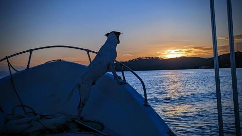 El Palacio Rosa on Blue Lagoon 3BR Beachfront Suite on pristine & quiet bay w incredible views