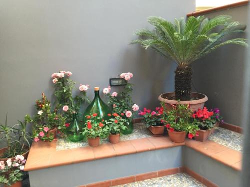 B&B Civico Cinque – Salerno, UT