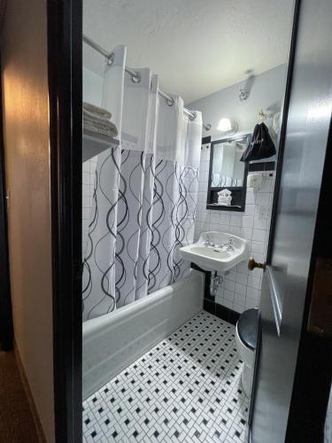 The Alonzo Ward Hotel - image 2