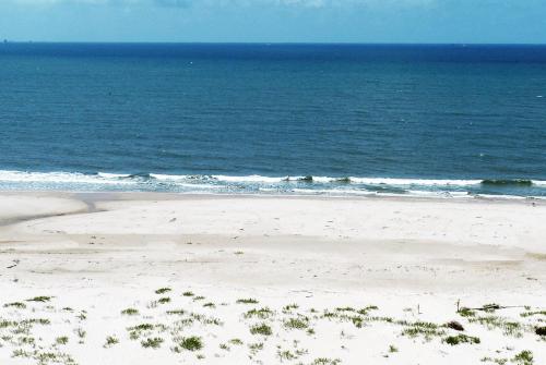 Morning Joy - image 5
