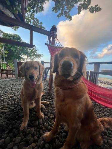 White Bada Guesthouse White Bada Guesthouse