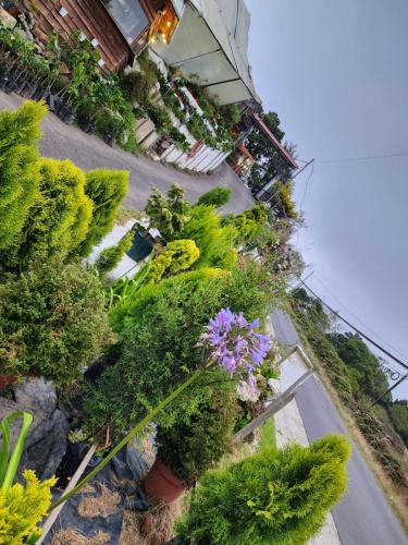 Dārzs, Cabaña el Faisán, Jardín de Dota (Cabana el Faisan, Jardin de Dota) in El Jardín
