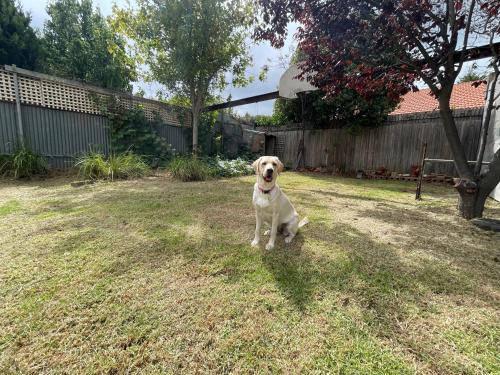 Heritage Charm in the heart of Bentleigh