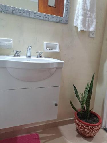 One-Bedroom Apartment image 8