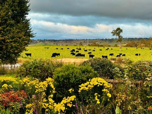 Red Hill Cottage Walcha