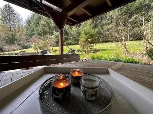 Unter dem Ginster - Forest Villa for 12 - 1500m2 Private Garden - Near Willingen Ski Area - Hiking & Nature in Brilon, Deutschland