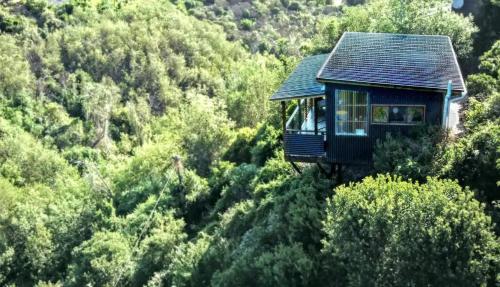 Forest Studio in คนิสนา ไฮจ์