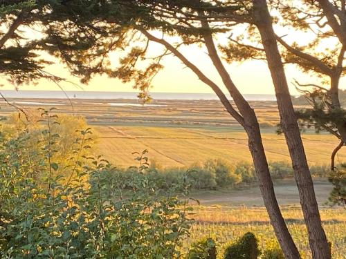 Villa Vieilles Vignes vue mer