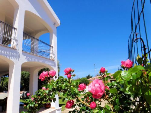 Hotel La Tartaruga Bianca, Valledoria bei Aggius