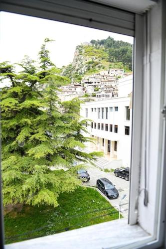 One-Bedroom Apartment image 1
