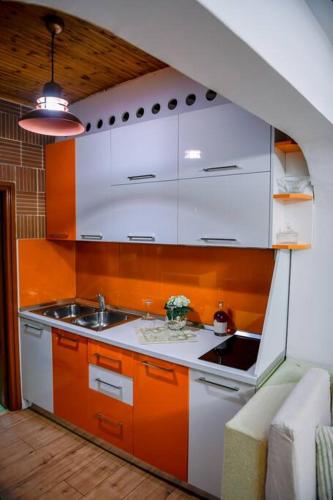 One-Bedroom Apartment image 6