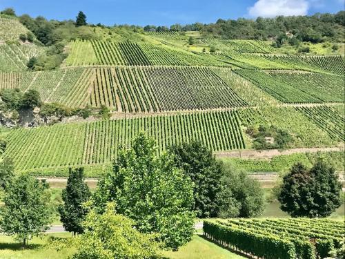 Weinlofts an der Mosel mit E10 Ladestation