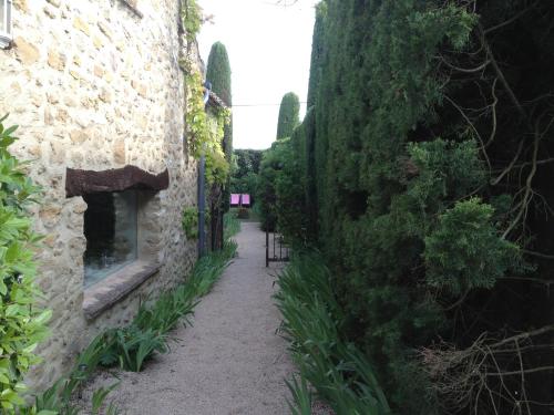 Gîte Petite Maison Le Jardin