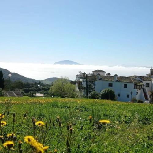 El Cuartón Tarifa "Sonreír antes de entrar"