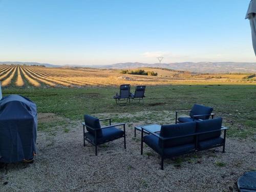 les Lavandes dans le Luberon - Location, gîte - Sault