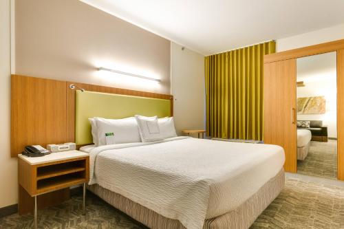 SpringHill Suites by Marriott McAllen Convention Center