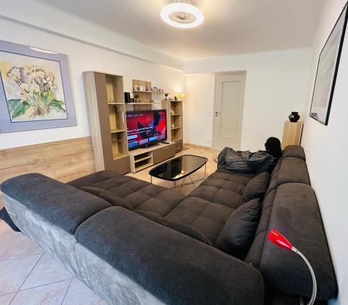 The NICE - 3 rooms, 3air cond, 3TV, 3fans, 2 wc, WIfi everywhere 5min aeroport, train, beach, 1min tram, 15 min centre, port, PARKING POSSIBLE, Nice (fotografie 8)