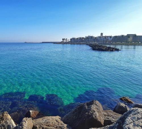 La stradina - Apartment - Mola di Bari