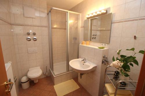 Apartment with Terrace image 10
