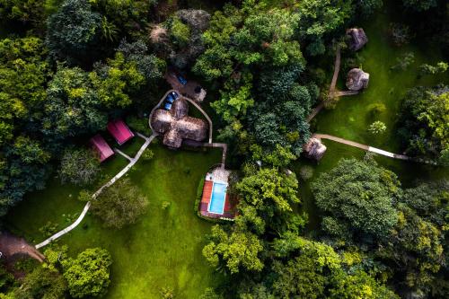 Tanager RainForest Lodge in พลาเซนเซีย