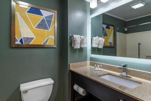 Comfort Inn & Suites at Stone Mountain - image 5