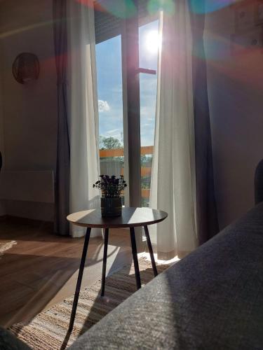 Apartman Krinka, Vrnjačka Banja