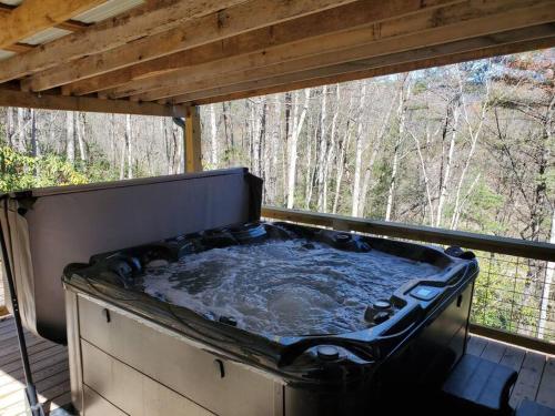 Cabin with a view in Hot Springs—walk to AT in Hot Springs, USA