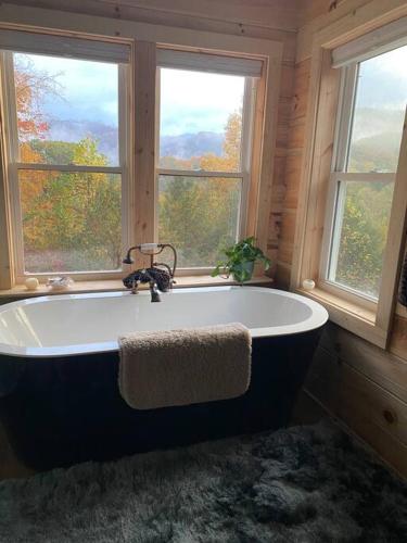 B&B Hot Springs - Cabin with a view in Hot Springs—walk to AT - Bed and Breakfast Hot Springs