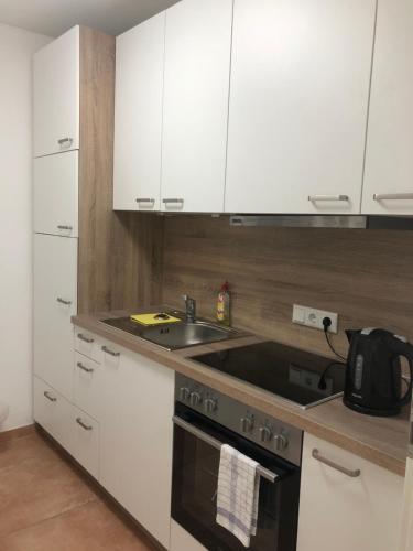 포그타로이트 Pension Chen mit 2 Schlafzimmern, EBK, separat Balkon 4성급 싱글룸 로비