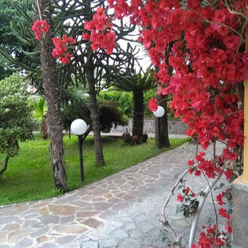  Ospitalità Il NOCE in Brusciano
