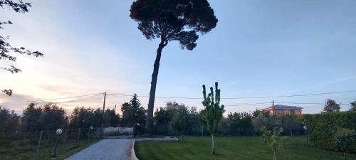 Da Barbara & Simone 4
