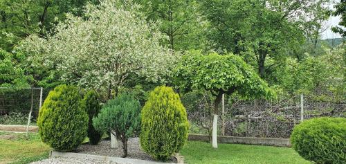 Pension Charisma - image 12