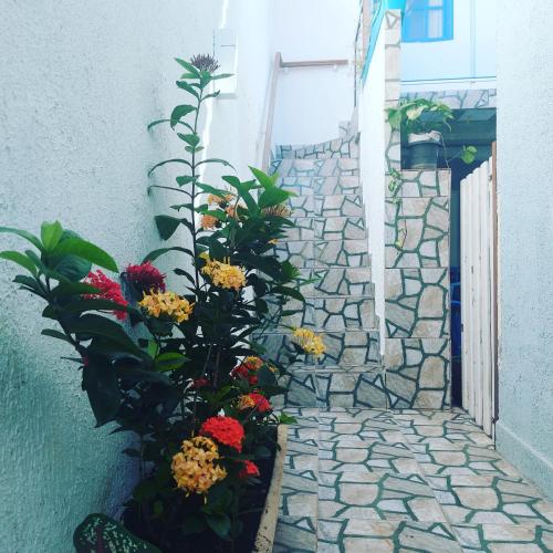 花園, Casa em Cabo Frio in 雅爾丁富拉姆波揚特