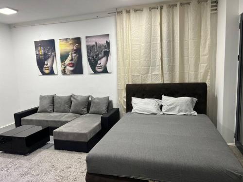 Dorcol Lux Studio