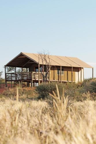 ทัศนียภาพภายนอกโรงแรม, Suricate Tented Kalahari Lodge in สแตมป์เรียต