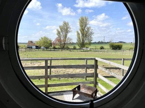 Armadilla 1 at Lee Wick Farm Cottages & Glamping, Clacton-on-Sea (photo 8)