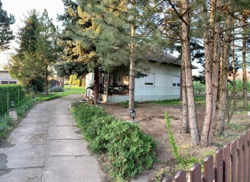 Miris severa in Šupljak