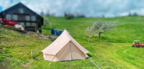  Safari Glamping Tent in Swiss Alps in Ennetmoos