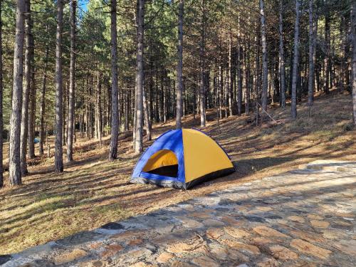 Bujtinat Skenderi Gjinar 2 Bujtinat Skenderi Gjinar 2