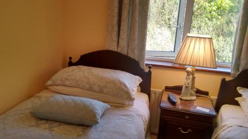 Corrib View Guesthouse - image 14