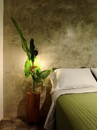. Casa Salvaje Vacation Rentals