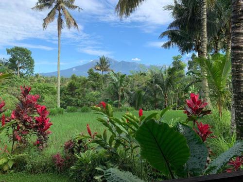 Hakiki Inn Bungalows – Tetebatu, ID